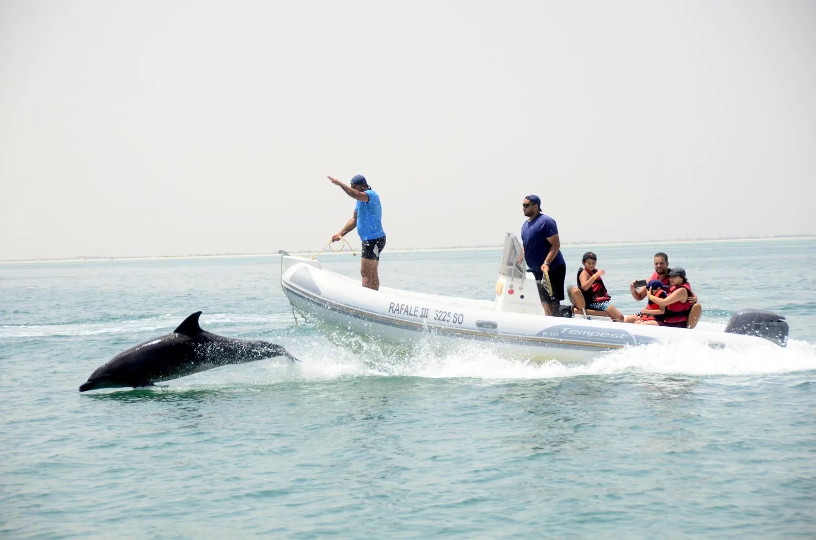 Dolphin jumping in front of the speed boat in Djerba